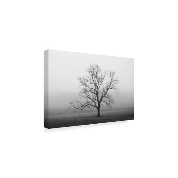 Nicholas Bell Photography 'Velvet Sunrise' Canvas Art,16x24